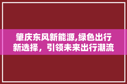 肇庆东风新能源,绿色出行新选择，引领未来出行潮流