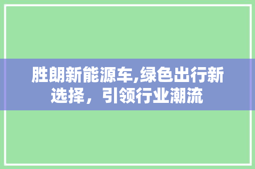 胜朗新能源车,绿色出行新选择，引领行业潮流