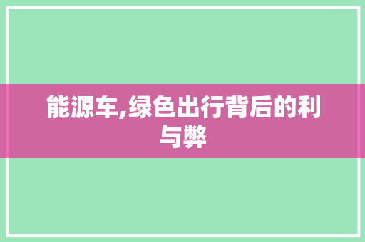 能源车,绿色出行背后的利与弊