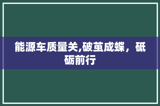 能源车质量关,破茧成蝶，砥砺前行
