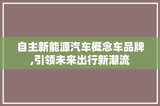 自主新能源汽车概念车品牌,引领未来出行新潮流