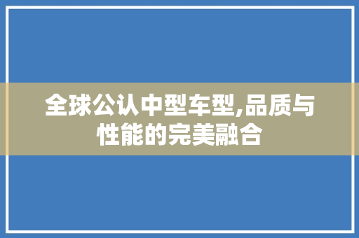 全球公认中型车型,品质与性能的完美融合