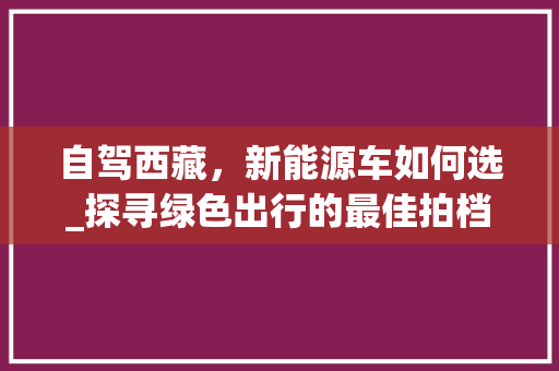 自驾西藏，新能源车如何选_探寻绿色出行的最佳拍档
