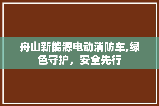 舟山新能源电动消防车,绿色守护，安全先行