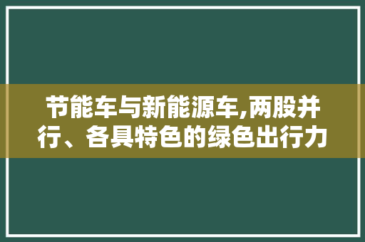 节能车与新能源车,两股并行、各具特色的绿色出行力量
