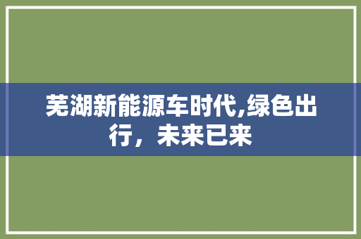芜湖新能源车时代,绿色出行，未来已来