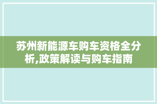 苏州新能源车购车资格全分析,政策解读与购车指南