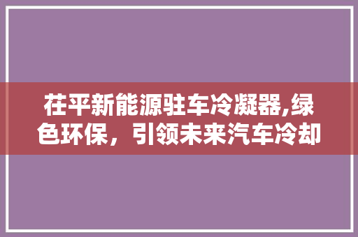 茌平新能源驻车冷凝器,绿色环保，引领未来汽车冷却技术