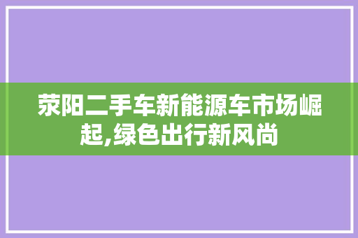 荥阳二手车新能源车市场崛起,绿色出行新风尚