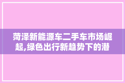 菏泽新能源车二手车市场崛起,绿色出行新趋势下的潜力与机遇