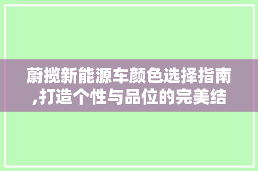 蔚揽新能源车颜色选择指南,打造个性与品位的完美结合