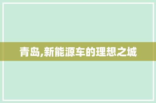 青岛,新能源车的理想之城