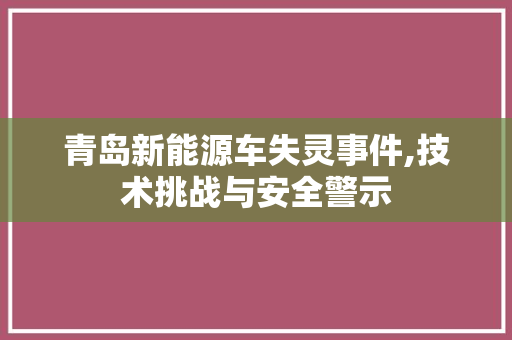 青岛新能源车失灵事件,技术挑战与安全警示