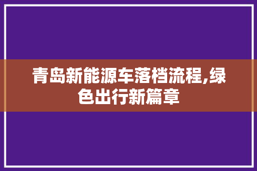 青岛新能源车落档流程,绿色出行新篇章