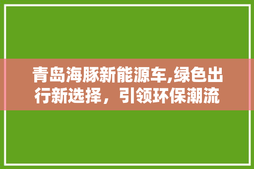 青岛海豚新能源车,绿色出行新选择，引领环保潮流