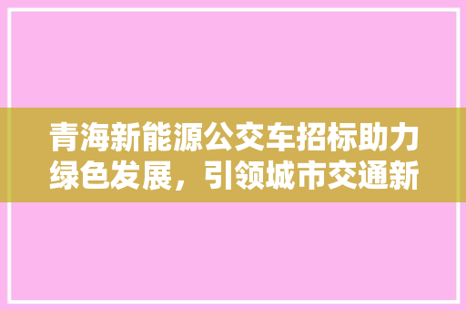 青海新能源公交车招标助力绿色发展，引领城市交通新风尚