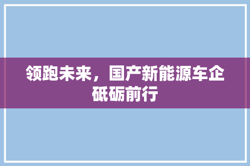 领跑未来，国产新能源车企砥砺前行