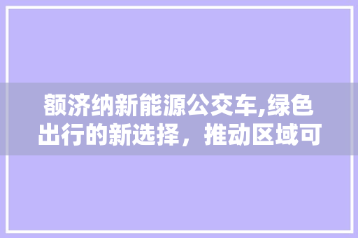 额济纳新能源公交车,绿色出行的新选择，推动区域可持续发展
