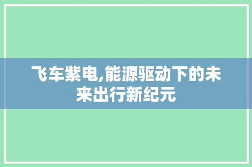 飞车紫电,能源驱动下的未来出行新纪元