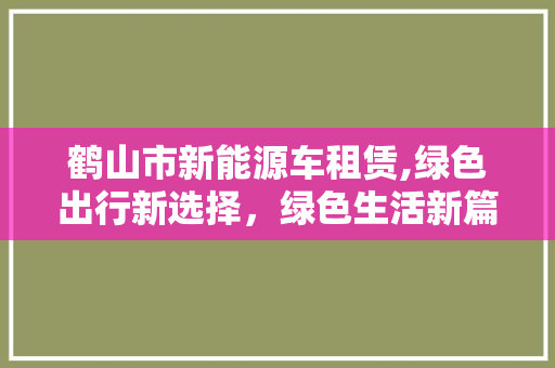 鹤山市新能源车租赁,绿色出行新选择，绿色生活新篇章