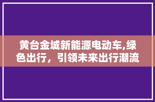 黄台金城新能源电动车,绿色出行，引领未来出行潮流
