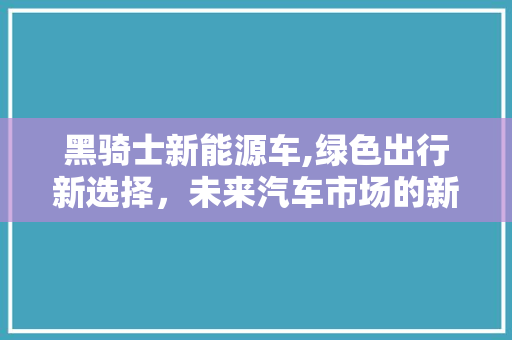 黑骑士新能源车,绿色出行新选择，未来汽车市场的新宠儿