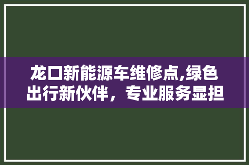 龙口新能源车维修点,绿色出行新伙伴，专业服务显担当