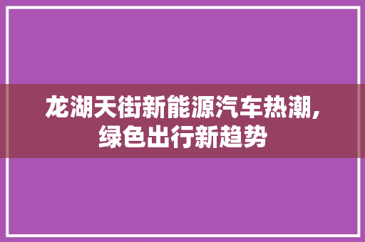 龙湖天街新能源汽车热潮,绿色出行新趋势