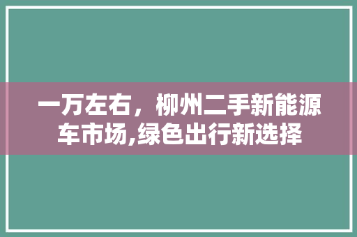 一万左右，柳州二手新能源车市场,绿色出行新选择