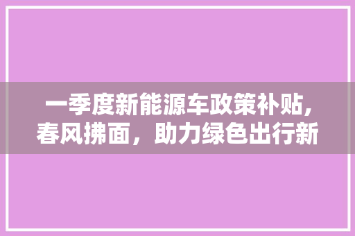 一季度新能源车政策补贴,春风拂面，助力绿色出行新时代