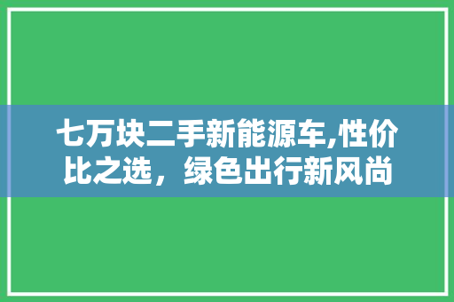 七万块二手新能源车,性价比之选，绿色出行新风尚