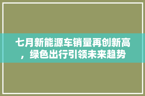 七月新能源车销量再创新高，绿色出行引领未来趋势
