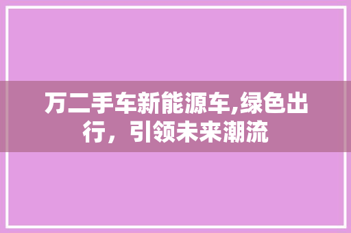 万二手车新能源车,绿色出行，引领未来潮流