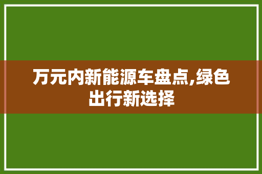 万元内新能源车盘点,绿色出行新选择
