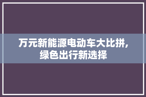 万元新能源电动车大比拼,绿色出行新选择