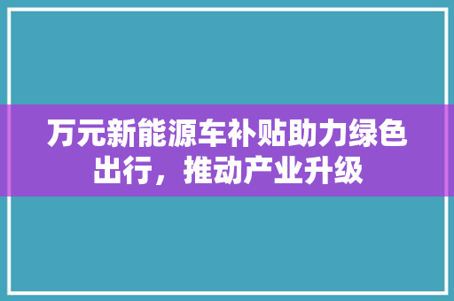 万元新能源车补贴助力绿色出行，推动产业升级