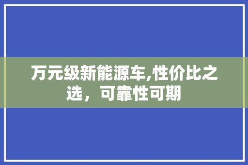 万元级新能源车,性价比之选，可靠性可期