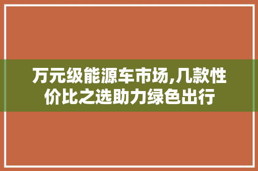 万元级能源车市场,几款性价比之选助力绿色出行
