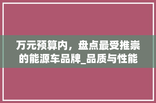 万元预算内，盘点最受推崇的能源车品牌_品质与性能的完美融合