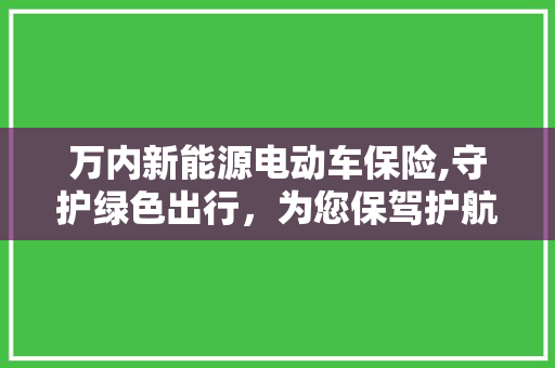 万内新能源电动车保险,守护绿色出行，为您保驾护航
