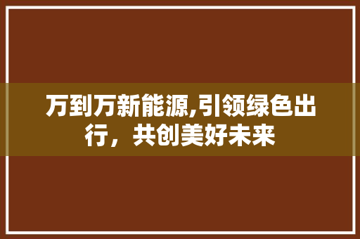 万到万新能源,引领绿色出行，共创美好未来