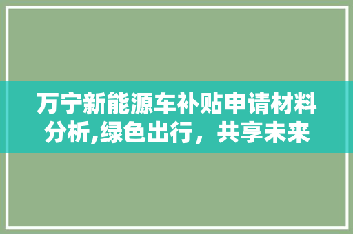 万宁新能源车补贴申请材料分析,绿色出行，共享未来