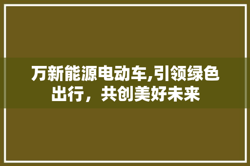 万新能源电动车,引领绿色出行，共创美好未来