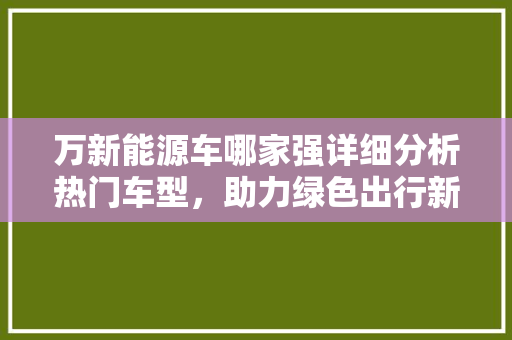 万新能源车哪家强详细分析热门车型，助力绿色出行新选择