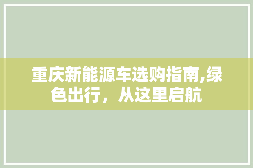 重庆新能源车选购指南,绿色出行，从这里启航