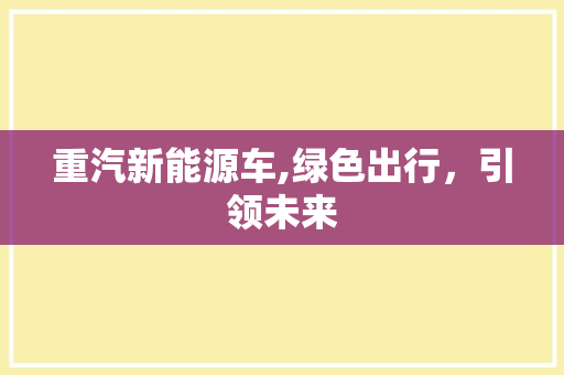 重汽新能源车,绿色出行，引领未来