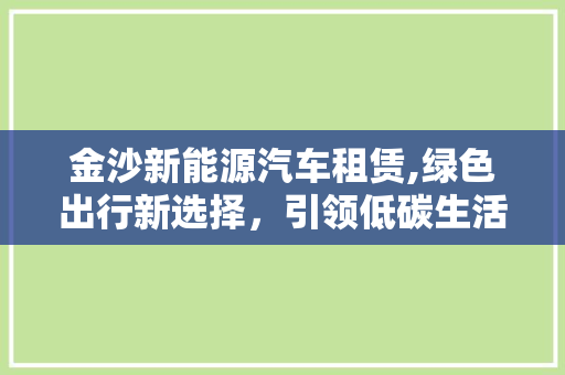 金沙新能源汽车租赁,绿色出行新选择，引领低碳生活新潮流
