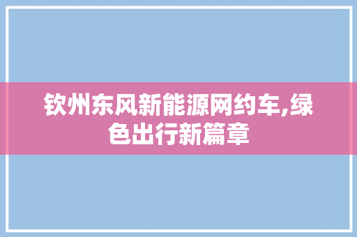 钦州东风新能源网约车,绿色出行新篇章