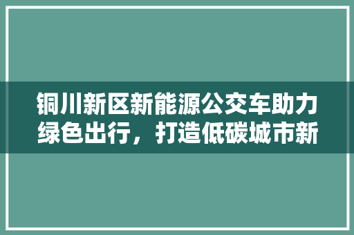 铜川新区新能源公交车助力绿色出行，打造低碳城市新名片