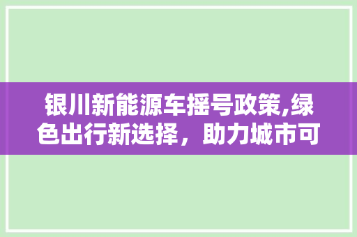 银川新能源车摇号政策,绿色出行新选择，助力城市可持续发展